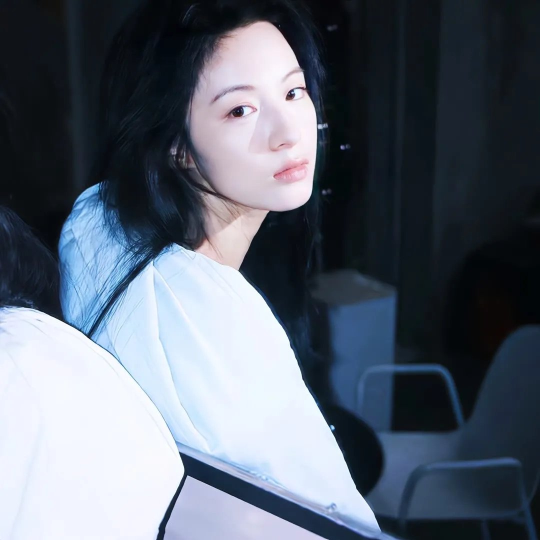 狐獴家族
