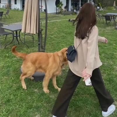 上海女子图鉴
